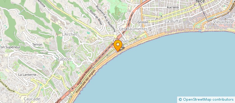 localisation de l'entreprise MADAME OLGA NETCHKINA à NICE