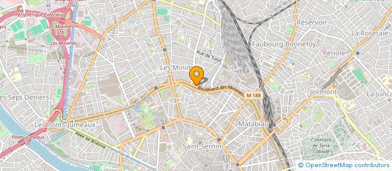 localisation de l'entreprise MADAME OLGA NIKOLAEVA à TOULOUSE