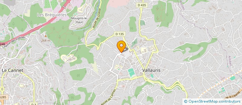 localisation de l'entreprise MADAME OLGA RODRIGUES LUCAS  VALLAURIS