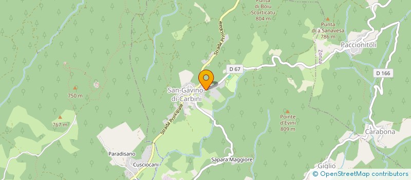 localisation de l'entreprise MADAME OLGA SOLOMINA à SAN-GAVINO-DI-CARBINI