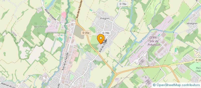 localisation de l'entreprise MADAME OLGA ZHEMCHUGOVA à SAINT-GENIS-POUILLY