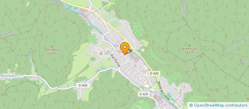 localisation de l'entreprise MADAME OLHA HUTSUL  MULHOUSE