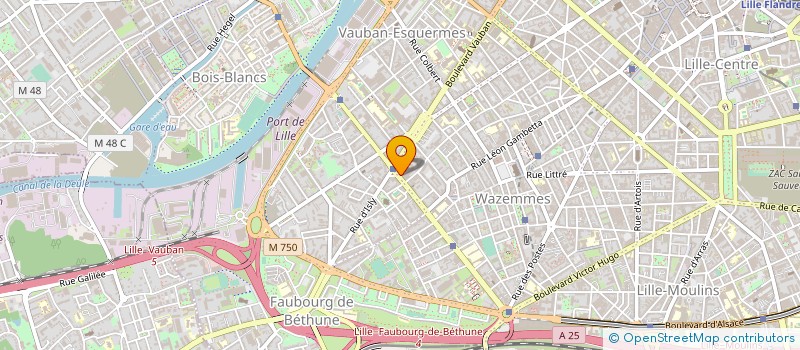 localisation de l'entreprise MADAME OLIVIA BEN HAIM à LILLE