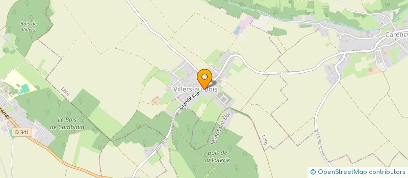 localisation de l'entreprise MADAME OLIVIA BINSSE  VILLERS-AU-BOIS