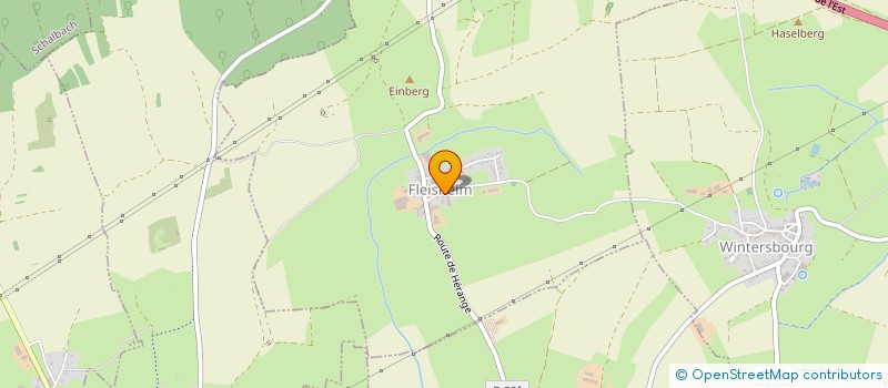 localisation de l'entreprise MADAME OLIVIA DANIELE IDA POIROT  FLEISHEIM