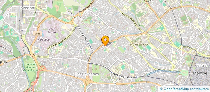 localisation de l'entreprise MADAME OLIVIA KOHLER à MONTPELLIER