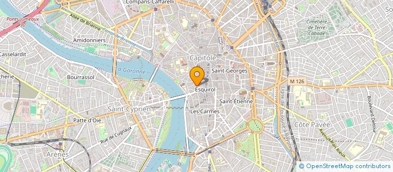 localisation de l'entreprise MADAME OLIVIA LOYER  TOULOUSE