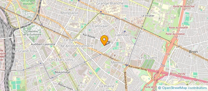 localisation de l'entreprise MADAME OLIVIA MOZIKO OLPENSO  LYON