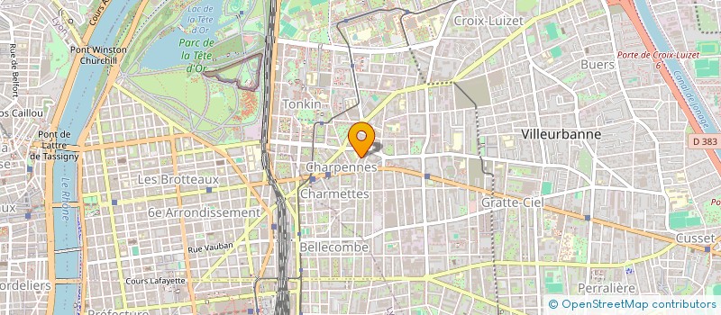 localisation de l'entreprise MADAME OLIVIA NICOLAIDES à VILLEURBANNE