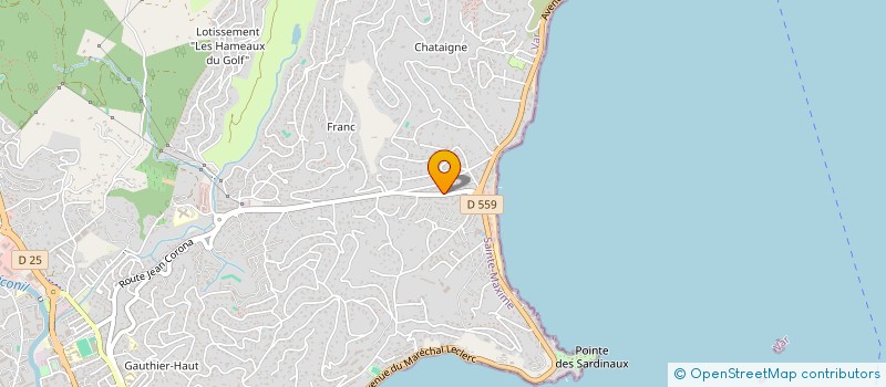 localisation de l'entreprise MADAME OLIVIA RYDAROWICZ à SAINTE-MAXIME