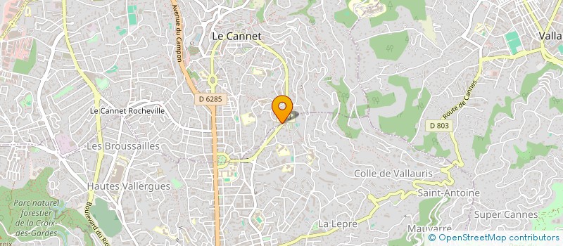 localisation de l'entreprise MADAME OLIVIA SARAMITO à LE CANNET