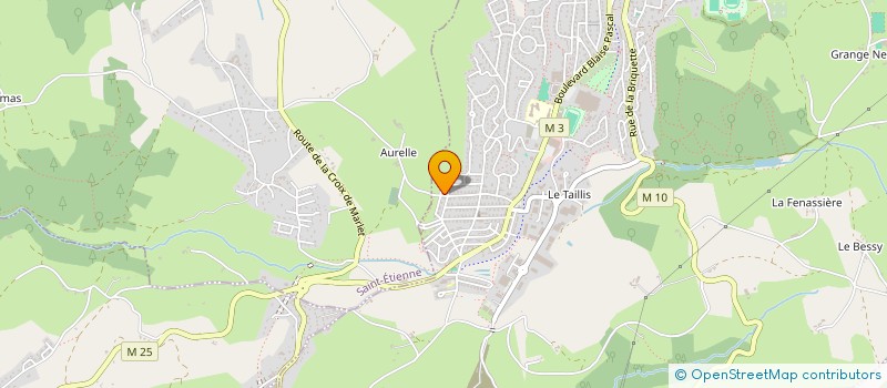 localisation de l'entreprise MADAME OLIVIA TARAKU  ROCHE-LA-MOLIERE