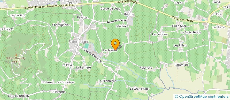 localisation de l'entreprise MADAME OLIVIA TEILLAUD  SAINT GEORGES DE RENEINS