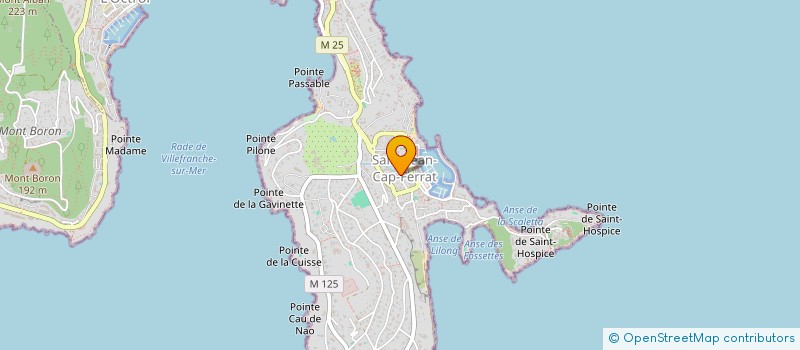 localisation de l'entreprise MADAME OLIVIA VESTRI à SAINT-JEAN-CAP-FERRAT