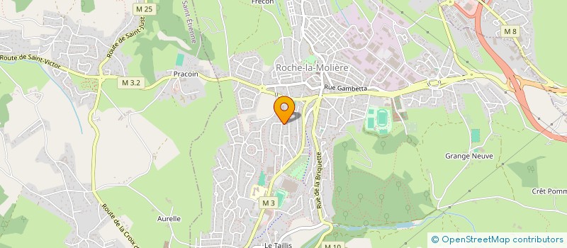 localisation de l'entreprise MADAME OLYMPIE MICHALON  SAINT-MAURICE-EN-GOURGOIS