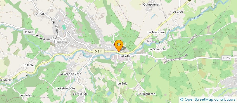 localisation de l'entreprise MADAME OMONTAYO SEITCHA  THURINS