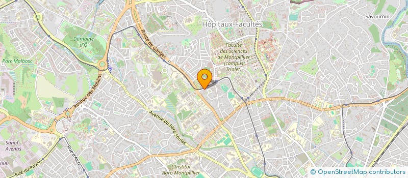 localisation de l'entreprise MADAME OPHELIE ALVADO à MONTPELLIER