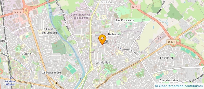 localisation de l'entreprise MADAME OPHELIE CHOPLIN  LE MANS