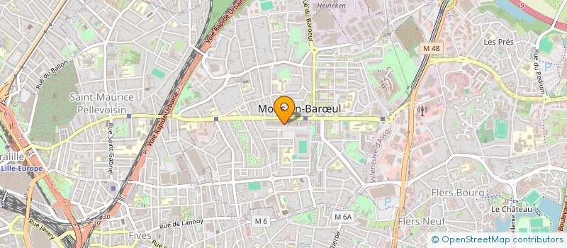 localisation de l'entreprise MADAME OPHELIE DELAVAL  MONS-EN-BARUL