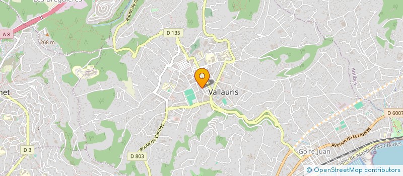 localisation de l'entreprise MADAME OPHELIE DZAOUI à VALLAURIS