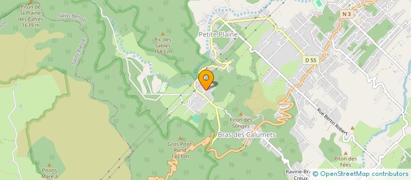 localisation de l'entreprise MADAME OPHELIE HOARAU  LA PLAINE-DES-PALMISTES