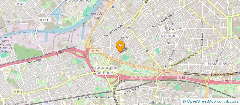 localisation de l'entreprise MADAME OPHELIE HOURRIEZ  LILLE