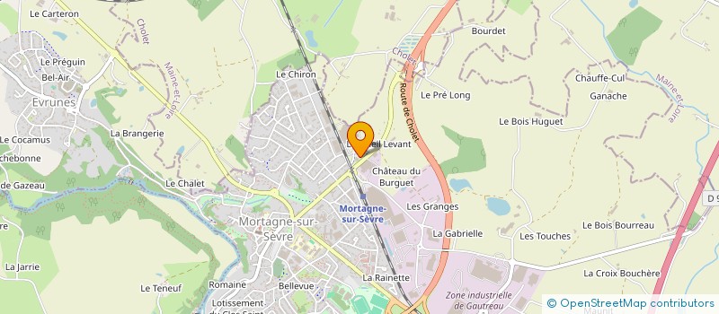 localisation de l'entreprise MADAME OPHELIE RAUD  CESTAS