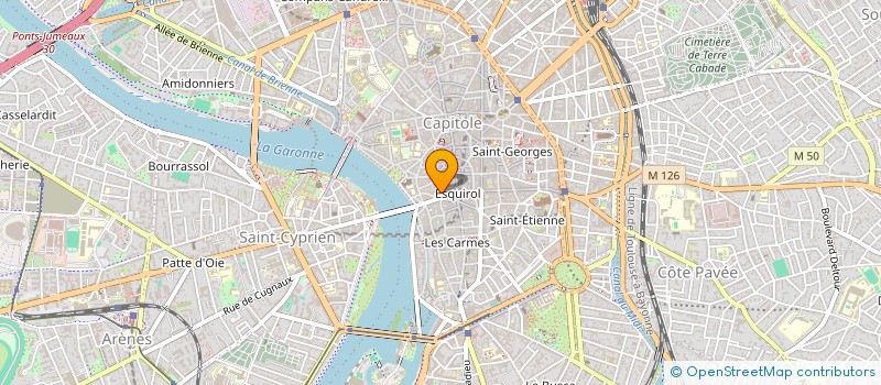 localisation de l'entreprise MADAME OPHELIE RAYNAUD  TOULOUSE
