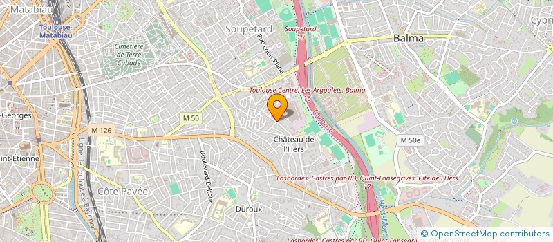 localisation de l'entreprise MADAME ORANE TOHOUEGNON à TOULOUSE