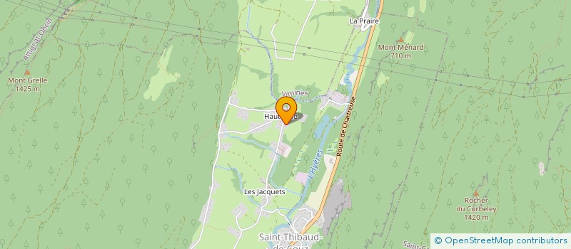 localisation de l'entreprise MADAME ORIANE BRUSSON  SAINT-THIBAUD-DE-COUZ