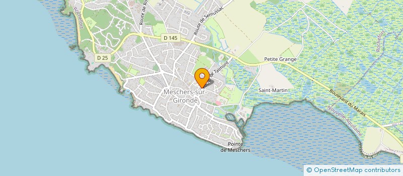 localisation de l'entreprise MADAME ORIANE DOMIN  MESCHERS-SUR-GIRONDE