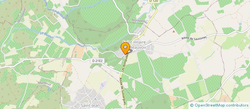 localisation de l'entreprise MADAME ORIANE LANNES  SAINT-HILAIRE-DE-BEAUVOIR