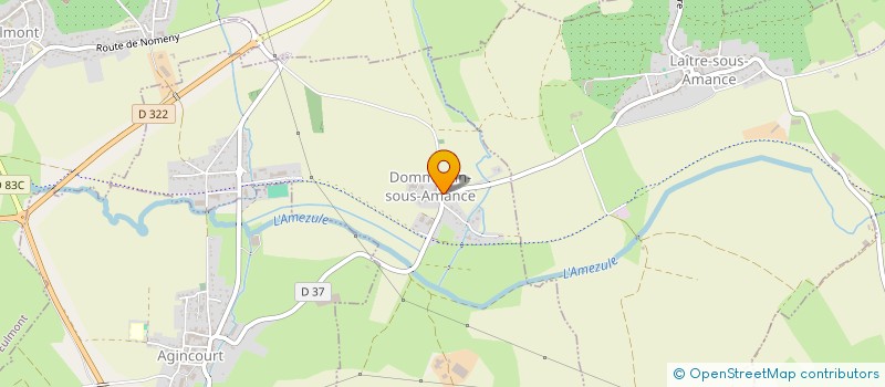 localisation de l'entreprise MADAME ORIANNE RENAUDIN à DOMMARTIN-SOUS-AMANCE