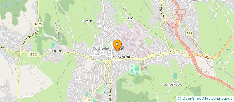 localisation de l'entreprise MADAME ORLANE SANI AGATHA  ROCHE-LA-MOLIERE