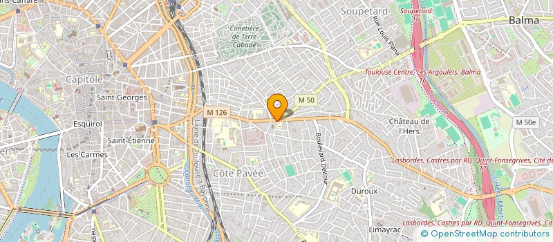 localisation de l'entreprise MADAME ORNELLA REMY  TOULOUSE