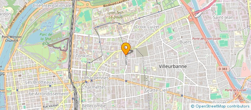 localisation de l'entreprise MADAME OUATTARA ADIATA  VILLEURBANNE