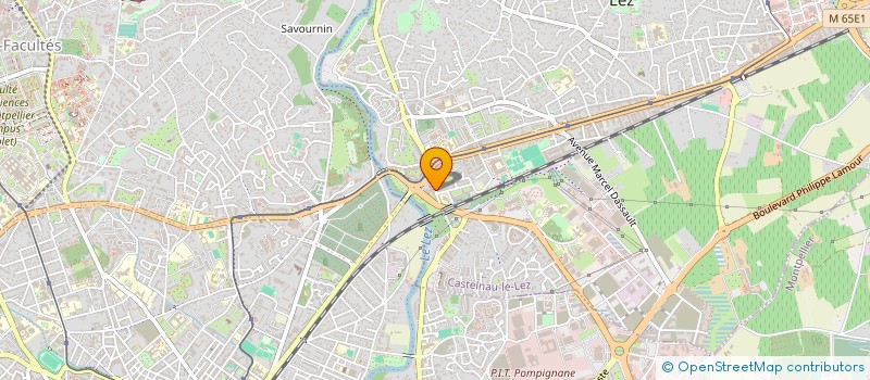 localisation de l'entreprise MADAME OUMOU NIANG à CASTELNAU-LE-LEZ