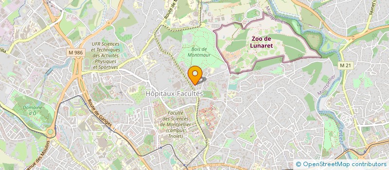 localisation de l'entreprise MADAME OURDIA MAMERI à MONTPELLIER