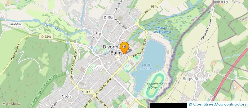 localisation de l'entreprise MADAME OXANA SOROKINA à DIVONNE-LES-BAINS