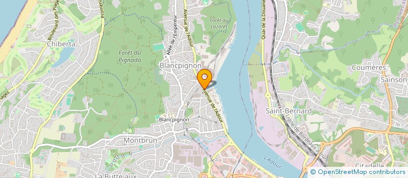 localisation de l'entreprise MADAME OXANA TCHERNIKOVA à BIARRITZ