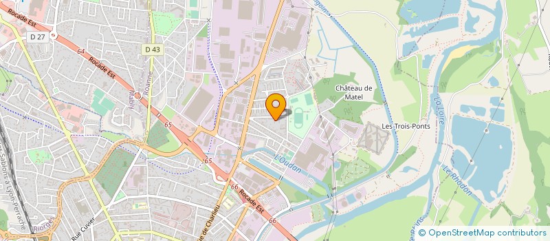 localisation de l'entreprise MADAME OYUNCHIMEG DASH  ROANNE