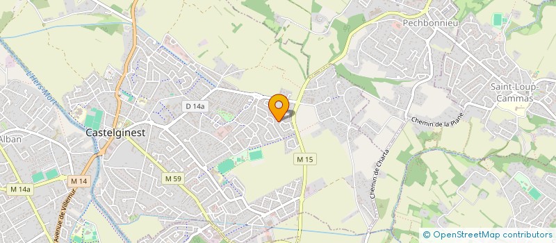 localisation de l'entreprise MADAME PALOMA GONZALEZ GRANGUET  CASTELGINEST