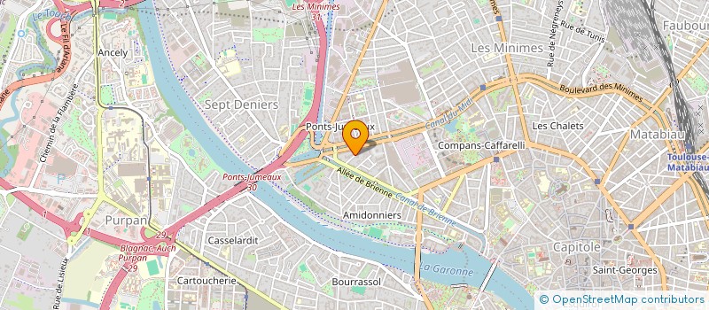 localisation de l'entreprise MADAME PAMELA REBORIDO MANTEIGA  TOULOUSE