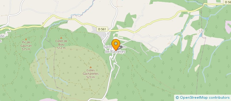 localisation de l'entreprise MADAME PAOLA GOZZINI à SAINT-MARTIN-DE-PALLIERES