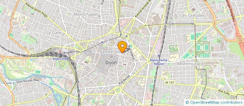 localisation de l'entreprise MADAME PAOLA MAJNONI D INTIGNANO à DIJON
