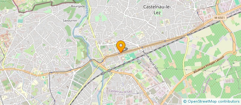 localisation de l'entreprise MADAME PARIVASH SHAMSOLLAHI à CASTELNAU-LE-LEZ