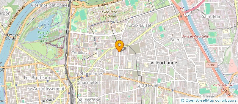 localisation de l'entreprise MADAME PASCALE ANCIAN  VILLEURBANNE