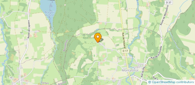 localisation de l'entreprise MADAME PASCALE FOULON  MONTASTRUC