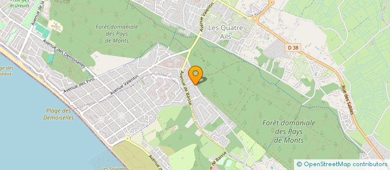 localisation de l'entreprise MADAME PASCALE HENNERON  SAINT-JEAN-DE-MONTS