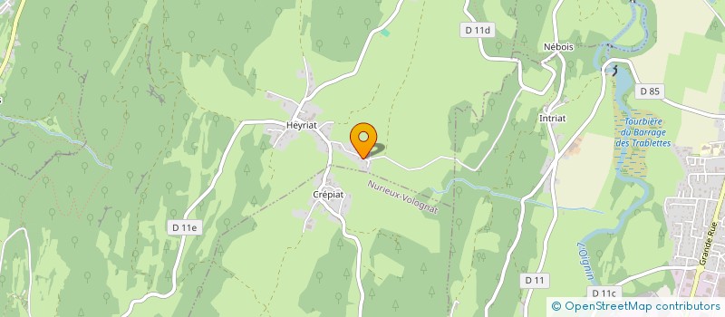 localisation de l'entreprise MADAME PASCALE HUSSON  SONTHONNAX-LA-MONTAGNE